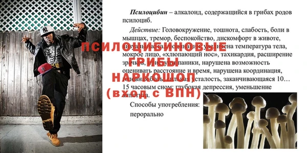прущий лед Арсеньев