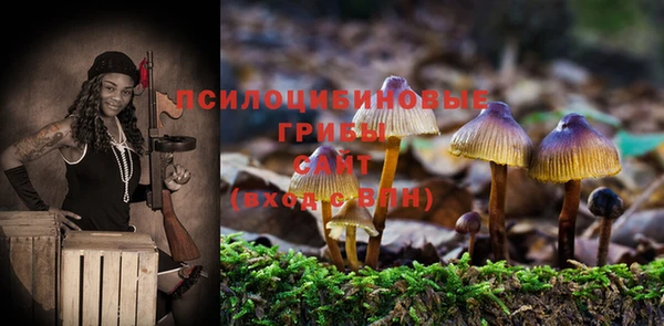 прущий лед Арсеньев
