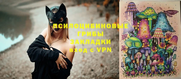 альфа пвп Армянск