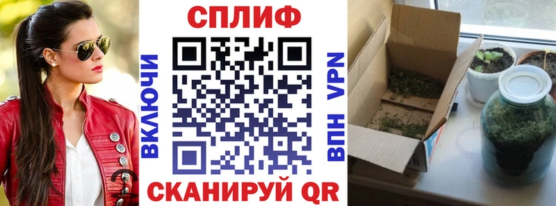 Бошки марихуана тримм  наркошоп  Карачев 